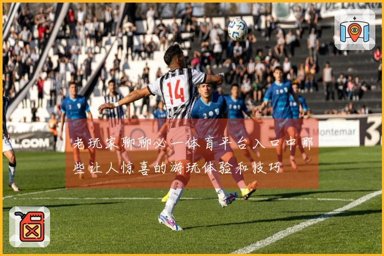 老玩家聊聊必一体育平台入口中那些让人惊喜的游玩体验和技巧