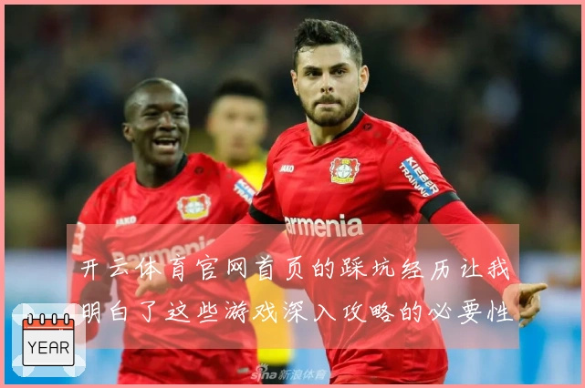 开云体育官网首页的踩坑经历让我明白了这些游戏深入攻略的必要性