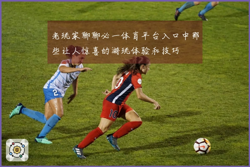 老玩家聊聊必一体育平台入口中那些让人惊喜的游玩体验和技巧